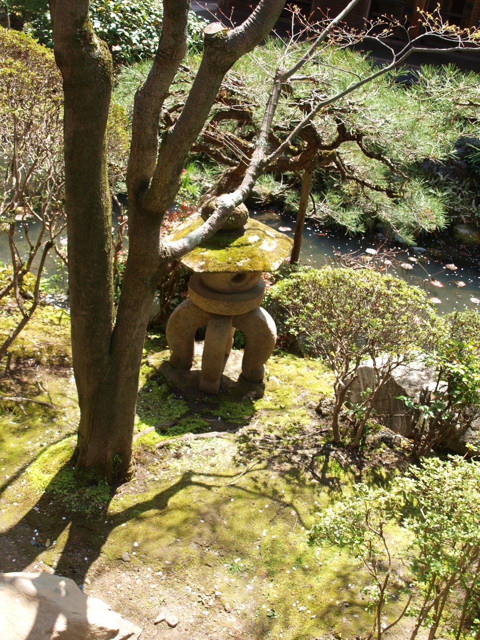 P4080762.jpg