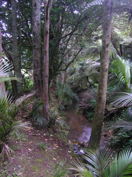 061117-094228_PB170322.jpg