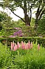 Dunvegan Isle of Skye Dunvegan Castle Garden P6152864.jpg