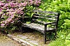 Dunvegan Isle of Skye Dunvegan Castle Garden P6152866.jpg