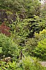 Dunvegan Isle of Skye Dunvegan Castle Garden P6152868.jpg