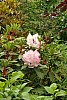 Dunvegan Isle of Skye Dunvegan Castle Garden P6152881.jpg