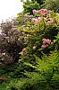 Dunvegan Isle of Skye Dunvegan Castle Garden P6152882.jpg