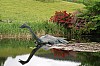 Drumnadrochit Loch Ness P6163021.jpg