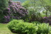 Loch Lochy Letterfinlay Lodge Hotel P6163037.jpg