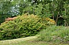 Loch Lochy Letterfinlay Lodge Hotel P6163038.jpg