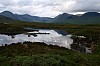 Bridge of Orchy P6163068.jpg