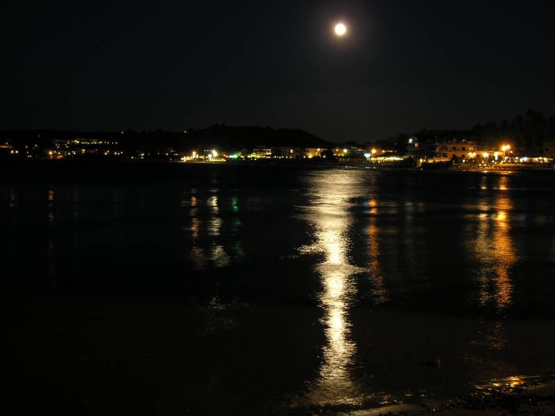 P6291569.jpg